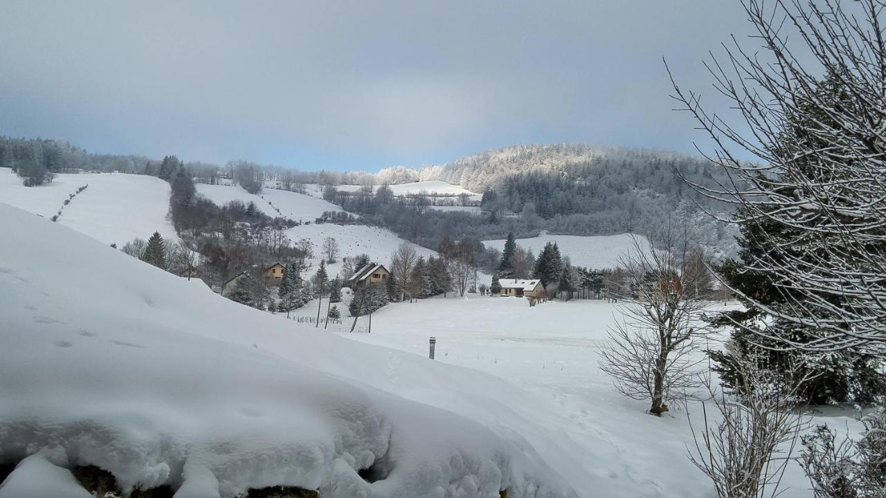 Les Diats 1811 Villa Corrençon-en-Vercors Buitenkant foto